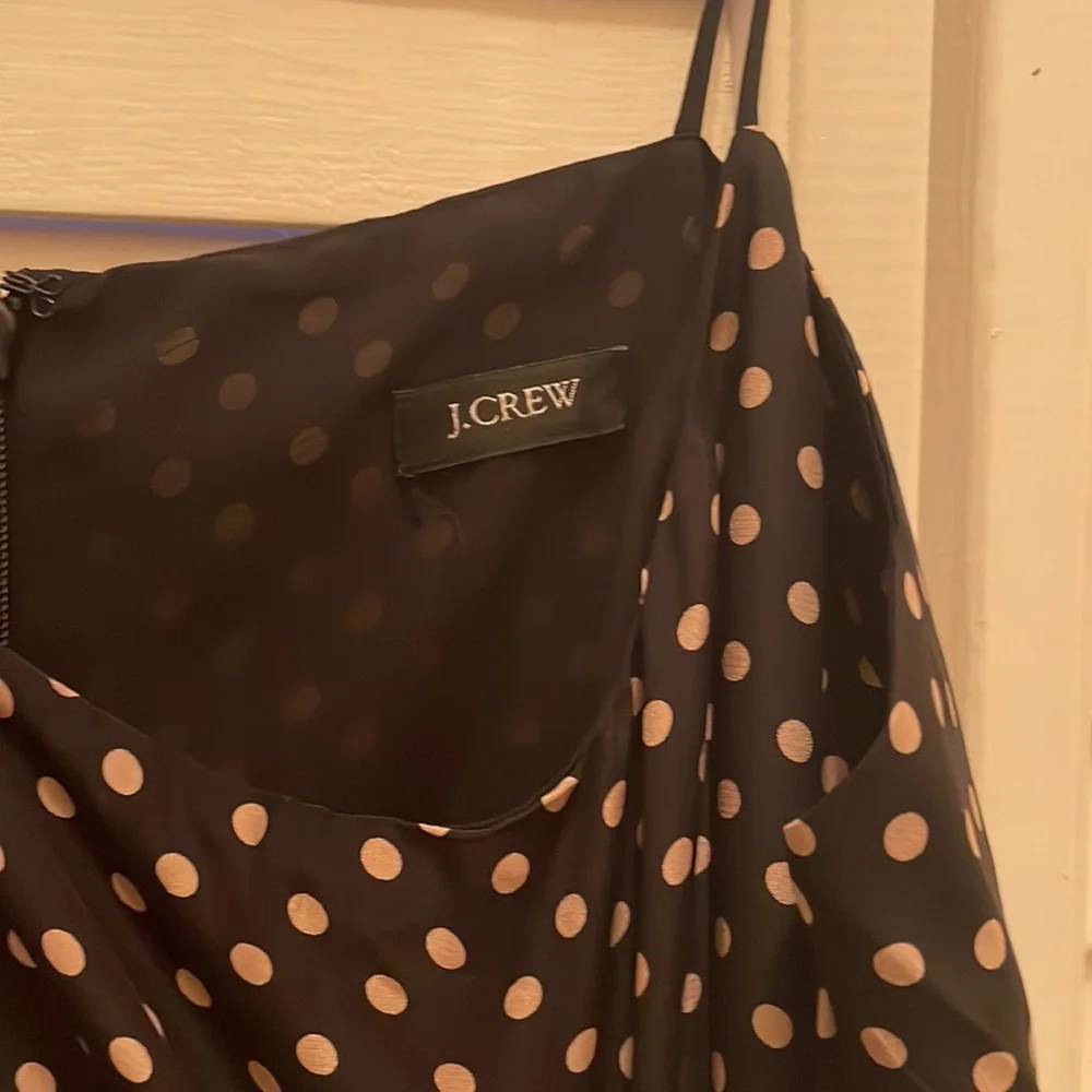 J crew polka dot dress - Picture 11 of 12